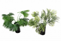 065 Veštačke palme